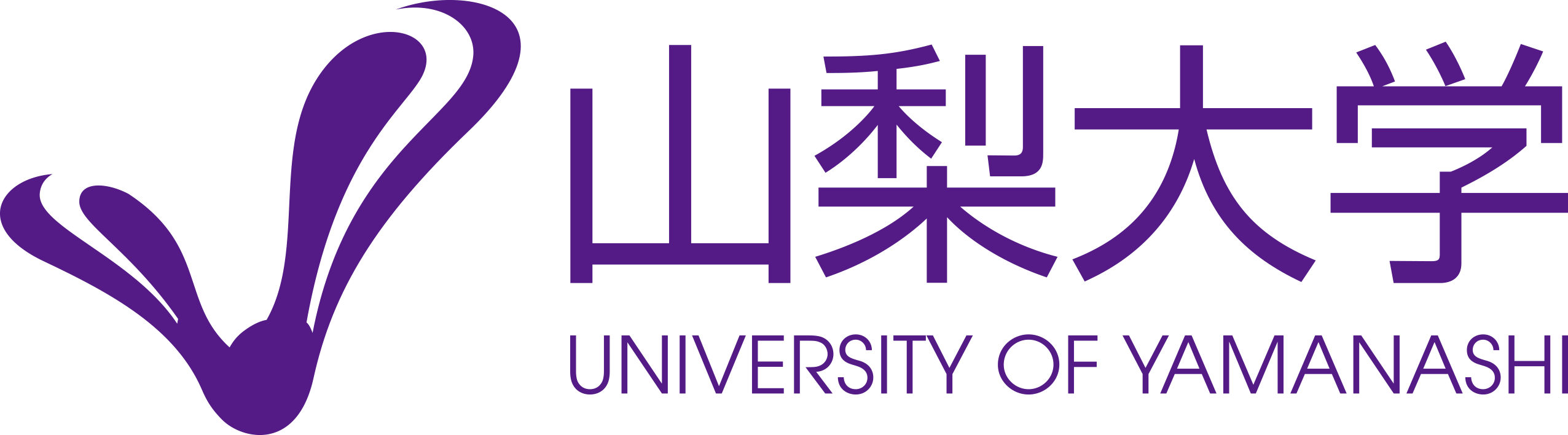 山梨大学 - V-SEP主催機関